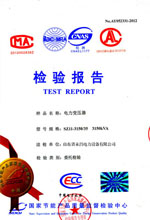 辽阳电力变压器检测报告
